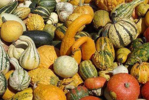 坐月子瓜怎么吃,如何科学食用瓜类营养美食