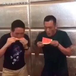 吃瓜笑死人,人生百态尽收眼底