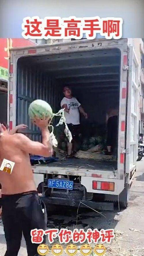 吃瓜笑死人,人生百态尽收眼底