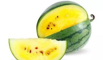 带你吃瓜冬瓜西瓜,带你领略冬瓜与西瓜的独特魅力