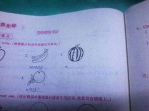 吃瓜英语怎样写,轻松掌握英语口语新潮流