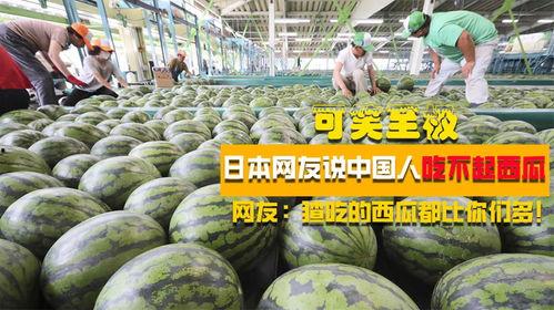 日本网友吃瓜