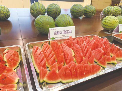 吃瓜打擂台,谁才是真正的“打擂台”高手？