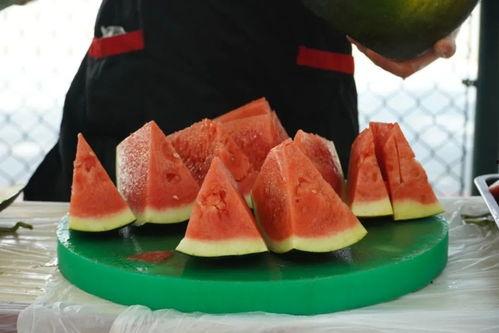 吃瓜早上的视频