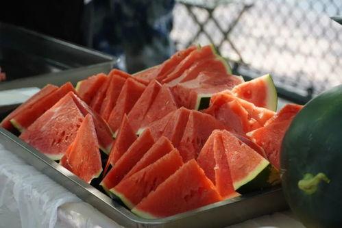 吃瓜早上的视频