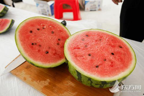 全国吃瓜总冠军,谁是真正的“吃瓜总冠军”？