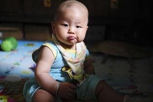 吃瓜萌友,揭秘娱乐圈幕后故事