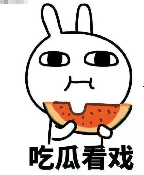 吃瓜音箱,智能生活新宠，娱乐互动新体验