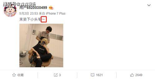 知乎明星吃瓜,幕后真相与八卦风云