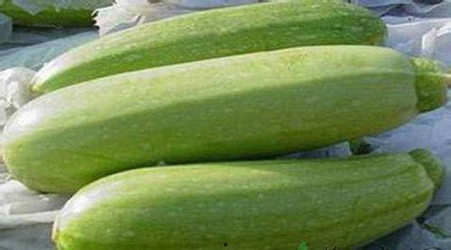 茭瓜小孩可以吃不,适合儿童的健康选择