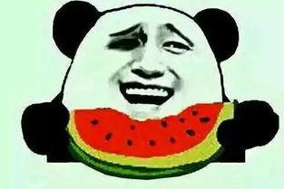 男子吃瓜被表白,男子吃瓜意外收获甜蜜表白