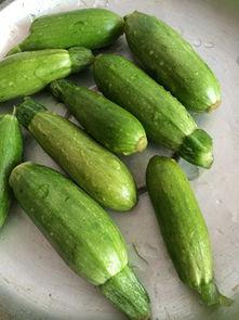 宝宝吃小角瓜好吗,小角瓜的营养与食用指南