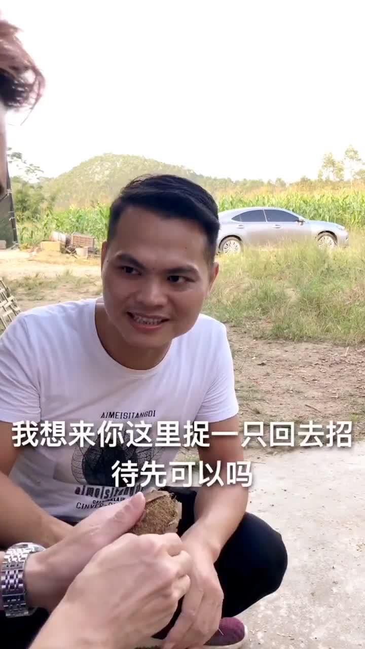 女人吃鸡瓜好吗,女性食用鸡瓜的益处与建议