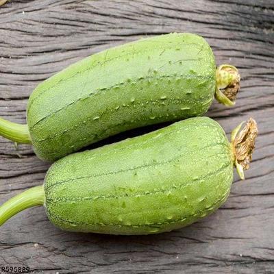 高血糖可以吃白瓜吗