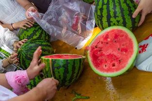 宣传吃瓜的视频大全,揭秘娱乐圈幕后故事