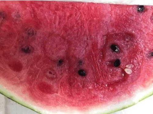 阿姨瓜怎么吃,解锁夏日清新美味