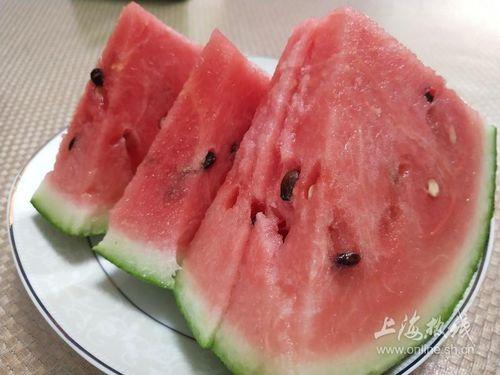 青浦人吃南汇瓜,南汇瓜的甜蜜邂逅