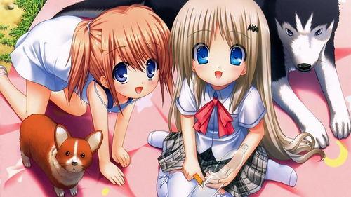 吃瓜系统动漫解说,揭秘动漫世界的幕后故事与趣味瞬间