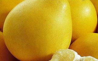 看柚子吃瓜,揭秘水果界的“网红”现象