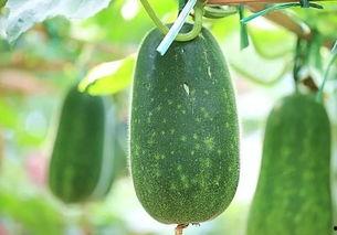 热啵吃瓜,揭秘娱乐圈的甜蜜与苦涩