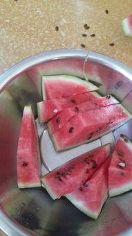 京瓜从哪头吃,从哪头吃，开启美味新体验