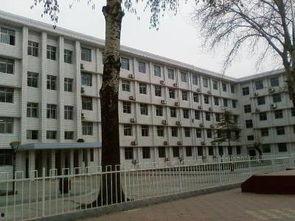 洛阳理工附中吃瓜