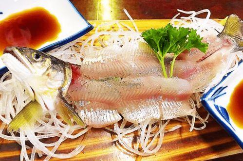 鱼鱼儿吃瓜,一场奇妙的海洋美食之旅