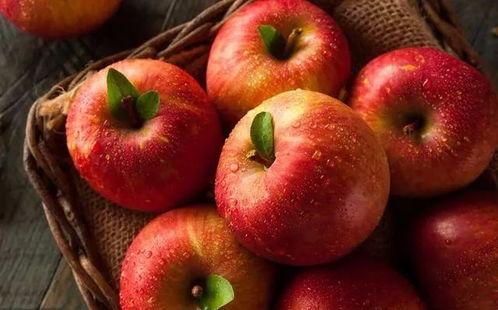 苹果和麻瓜可以吃吗英文,Can Apples and Muggles Consume the Same Foods?