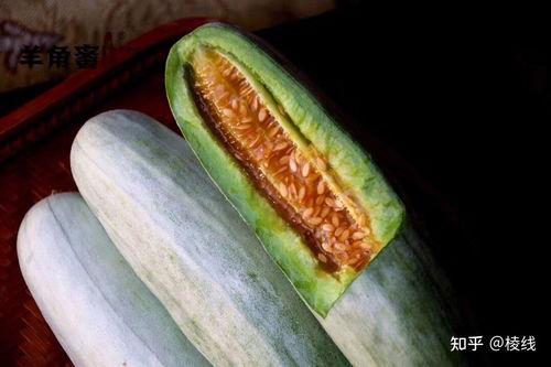 羊吃的瓜,田园风光尽收眼底