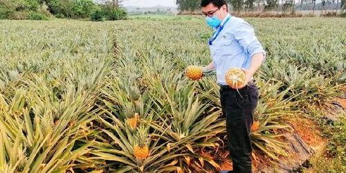 吃瓜群众猜测问题,吃瓜群众热议的明星幕后真相