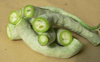 孕妇吃蛇瓜吗,孕妇可否食用蛇瓜？